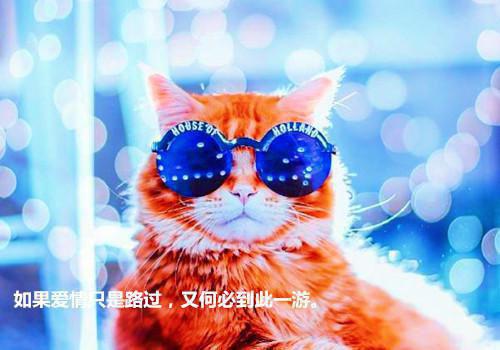 我爸再婚归来,我仍是独生女全文小说林星瑶林国栋小说在线阅读