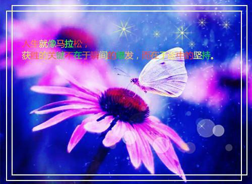 倒转的时光里，与你诀别(林景深秦书意)最新免费小说_全文免费阅读倒转的时光里，与你诀别林景深秦书意