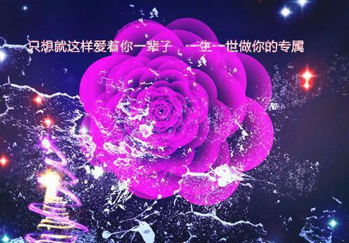 匿名的小说女友出轨后，我家狗急得说人话了祁斯年唐思雨陆远帆全文在线阅读