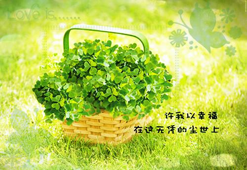许元禾许采欣最新章节更新状态 妈妈对我和妹妹绝对公平小说许元禾许采欣免费阅读全文