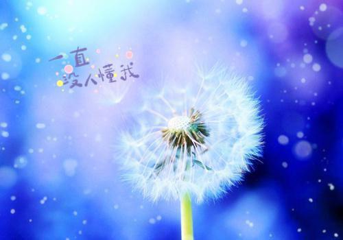 阿莹周文彬谢珍珍叫什么小说 重回七零,打脸换我孩子陷害我的渣男丈夫阿莹周文彬谢珍珍全文