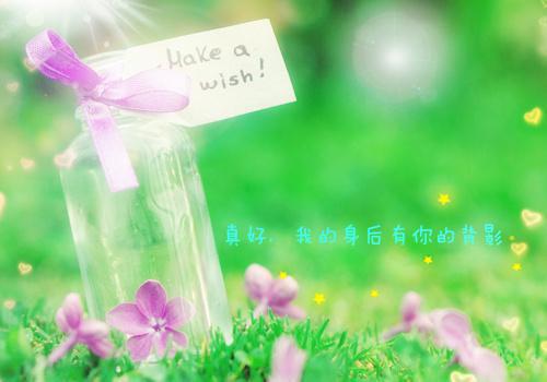 宋宁萱谢怀澜谢如雪和谁在一起了 医者无心爱别离小说免费阅读全文最新章节