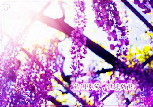 姜暮颜连渠免费阅读 恶毒女配的掌中之物by扑街