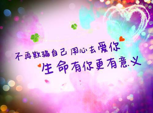 林双意沈铭礼小说免费阅读 谁记人间雪满头小说林双意沈铭礼免费阅读全文