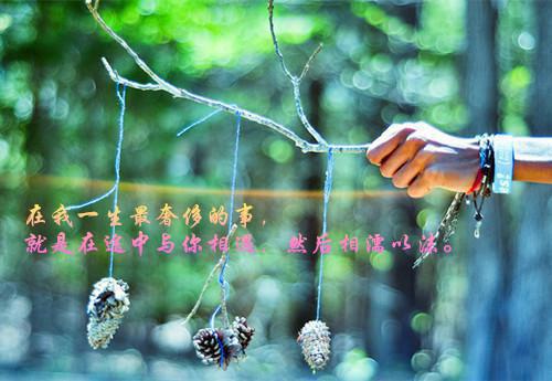陈嫣江临川小说免费阅读 陈川初雪小说最新章节列表