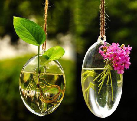 姜冉张弘广赵桂芳小说免费阅读全文 8元保号套餐被人误充两万，我反被爆头缝八针姜冉张弘广赵桂芳全文