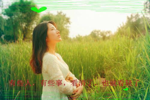 洛桐傅珩笔趣阁 我有一只男狐狸精by某君免费阅读