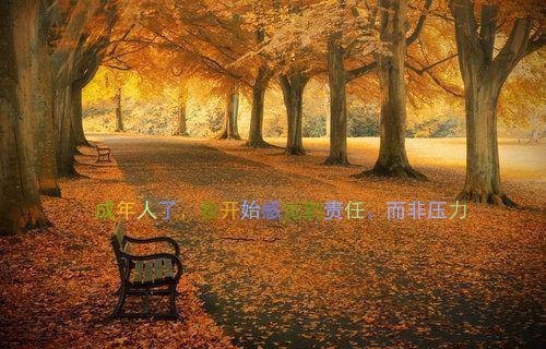 程乔祁晟程寻结局 穿书自救,总裁的隐婚甜妻未删减小说