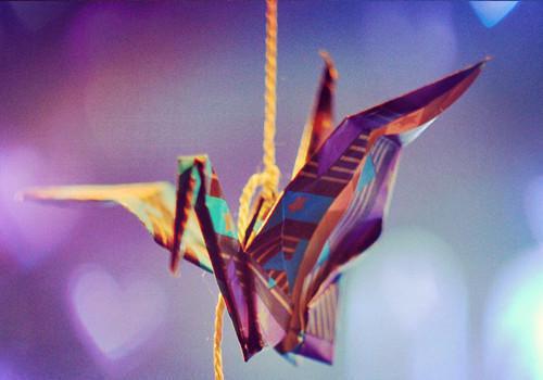 沈明昭萧晏沈兰茵小说免费阅读最新章节 风吹雪落离人心（神秘人）免费阅读