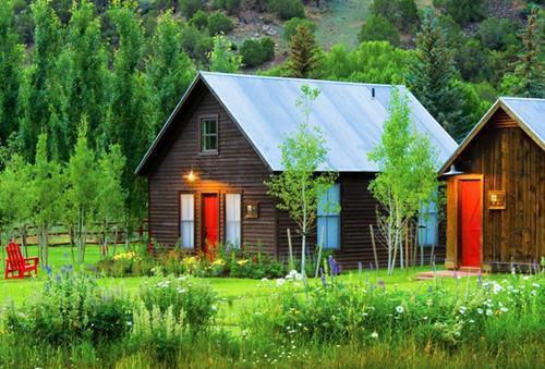 江叙白宋知意小说结局 江叙白宋知意全文阅读