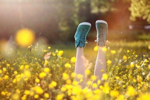 沈沐宋斯珩小说名 沈沐宋斯珩小说完整版免费