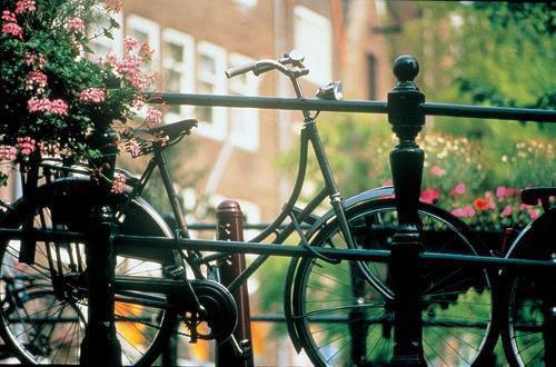 沈月最新章节更新时间 为了赔偿金，妈妈把我的护肤品换成化骨水笔趣阁