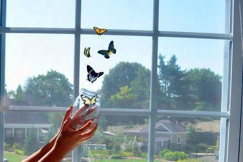 沈禾苗沈团团叫什么小说 穿越之农家医女种田二三事全文最新更新内容