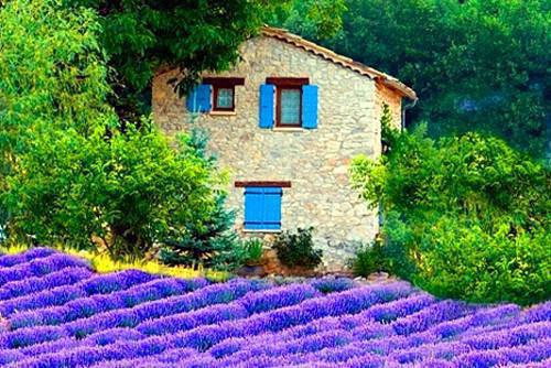 叶与微程景辞程予砚许倾夏小说免费阅读 叶与微程景辞笔趣阁最新章节