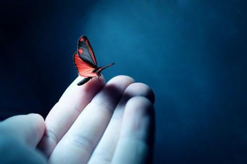 苏卿宁太子萧衡小说笔趣阁最新章节 苏卿宁萧衡by大神