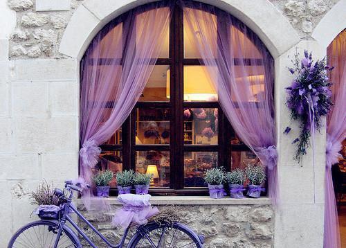 南挽谢砚池的最新章节更新时间 付一阙别离免费阅读小说