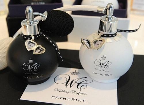 不能说的秘密全文阅读（洛野苏白鸽）最新章节_不能说的秘密全文阅读