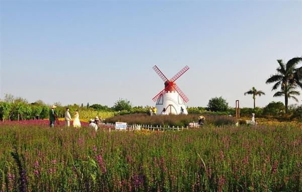路瑶裴妄最新章节更新状态 假孕骗婚被揭穿后，我真怀了小说正版免费阅读