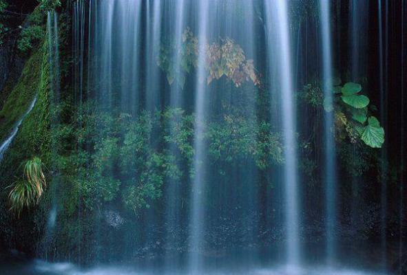 冷州苏青青小说名 三千块的大女主小说完整版免费