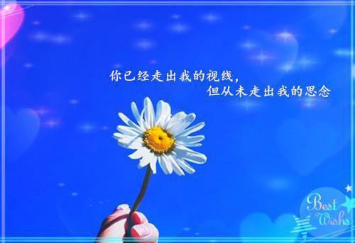 傅司南沈晚音周泰阳小说在线阅读 七夕那天，我让老婆破产原著在线阅读