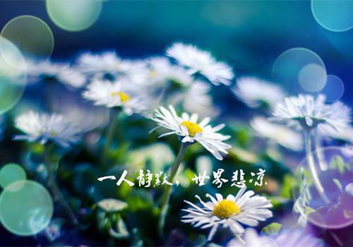 元曦最新章节列表 太皇太后她来了，不肖子孙颤抖吧全文阅读