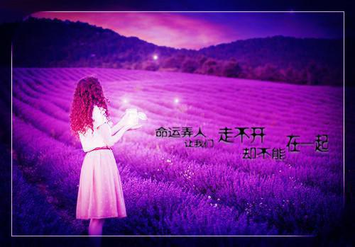 陈屿赵景明林强江雨茉全文免费重生后，我抢了室友的钢铁直男人设在线阅读全文