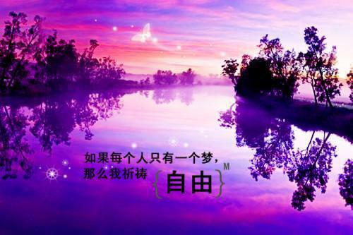 陈祎瑶陈家泽宋寂然的最新章节更新时间 半寒投奔小说全文免费