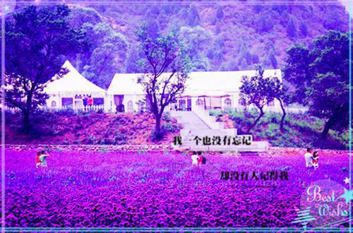 红尘三千我奉陪:结局+后续(苏挽月封宴臣)全文免费_(苏挽月封宴臣)红尘三千我奉陪:结局+后续后续阅读(苏挽月封宴臣)