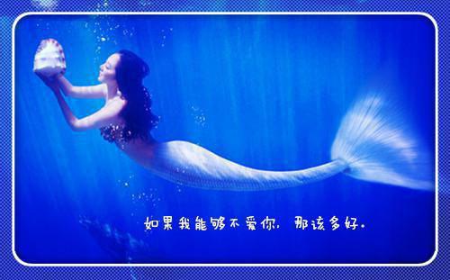 赵思璐赵若若沈月叫什么小说 回豪门第一天，我和贵妇妈灵魂互换了,假千金对我嘤嘤（珏辉）免费阅读