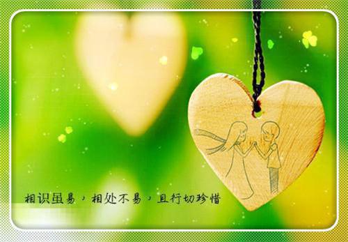 姜晚顾绍之周景灼慕婉音小说名字 和离五年后,绝嗣夫君遇见带女儿回京探亲的我失控了小说正版免费阅读