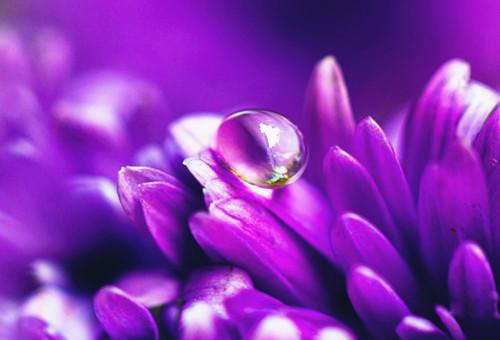 程知远韩月迟徐锦程最新章节列表 韩月迟程知远小说全文免费