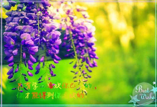 我周冰冰魏宇刘建国笔趣阁免费阅读 女儿用我的退休金孝顺婆婆,我断供后她悔疯了:后续我周冰冰魏宇刘建国大结局