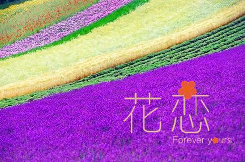 林夏季川最新章节列表 和前任分手后:后续电子书