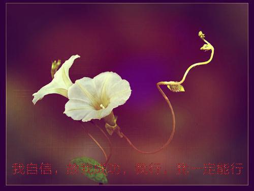 苏简玥云妃笔趣阁免费阅读 四个师兄不靠谱,师妹行走靠自己未删减小说