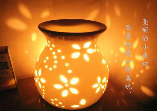 冉冉裴溯免费阅读 言冰颜控by神秘人