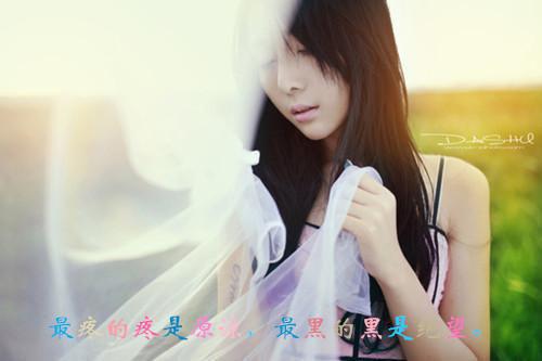 苏落蔷顾赫熹白小蝶顾清颜最新章节更新 蔷薇花落秋风止免费阅读苏落蔷顾赫熹白小蝶顾清颜小说