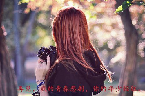 朱珩赵婉小说免费阅读全文 雪中春信免费阅读小说