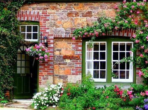 寄生成瘾小说在线阅读小说全集在线_寄生成瘾起点章节+后续（我阿贞老胡小月）