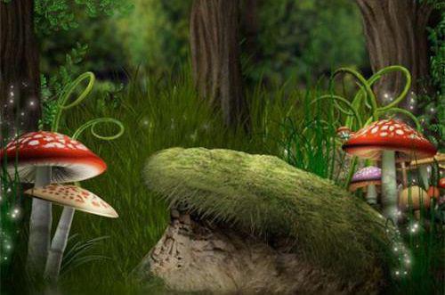 顾鲤白沐汐颜顾钰最新章节内容 突破渡劫期,发现妻女被关镇魂塔顾鲤白沐汐颜顾钰全文