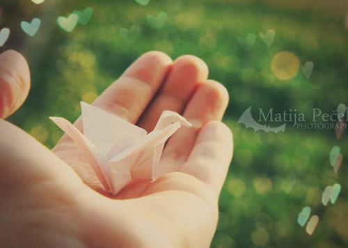 沈青柠许恒霖沈云雅小说免费阅读全文 南枝错许此生迟（ABC）免费阅读