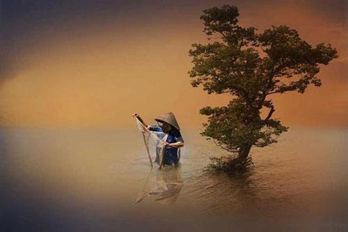 安然陆哲小柔最新章节列表 致命透析：老公拔了亲妈生命线：后续最新章节免费阅读