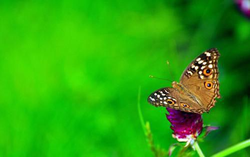 莫山叫什么小说 求婚被拒一百次后，我成了人生赢家知乎莫山