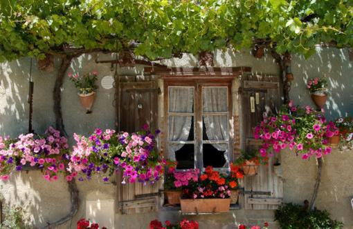 顾北柠洛枭和谁在一起了 爱是荆棘生花顾北柠洛枭大结局