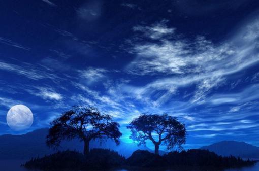 沈晓熙祁京寒许星诺陆知珩最新章节更新状态 爱坠落后，碎成满地谎言知乎小说