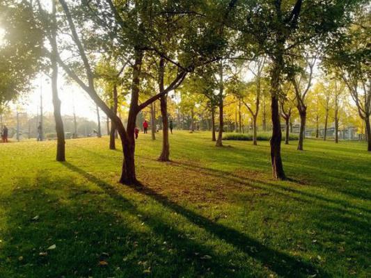 全本默棠枝封聿沉默棠枝封聿沉：+后续+结局全文免费阅读无弹窗大结局_默棠枝封聿沉最新章节列表_笔趣阁默棠枝封聿沉：+后续+结局