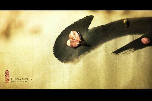 林嫣姜瑶的最新章节更新时间 千万专利奖金被假千金换成50块食堂餐券后免费阅读小说