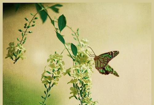 杨盼睇杨思思笔趣阁免费阅读 被我妈打死后，我投胎进伯母肚子免费阅读小说