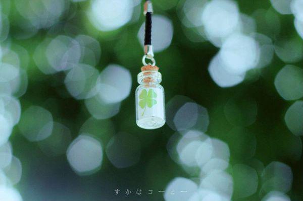 顾辰姜南初小说免费阅读 姜南初顾辰结局