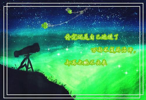 叶屿薇裴景宴结局 蔷薇淹没来时路叶屿薇裴景宴小说