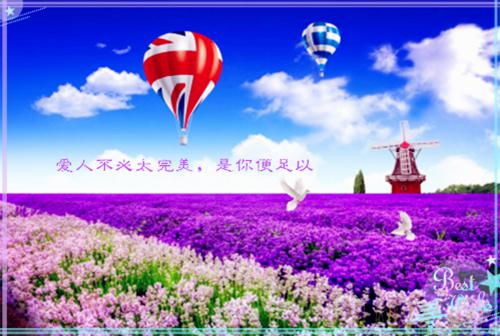 全本至死不渝：+后续+结局（姜念沈宴之）全文免费阅读无弹窗大结局_(至死不渝：+后续+结局)最新章节列表_笔趣阁（姜念沈宴之）